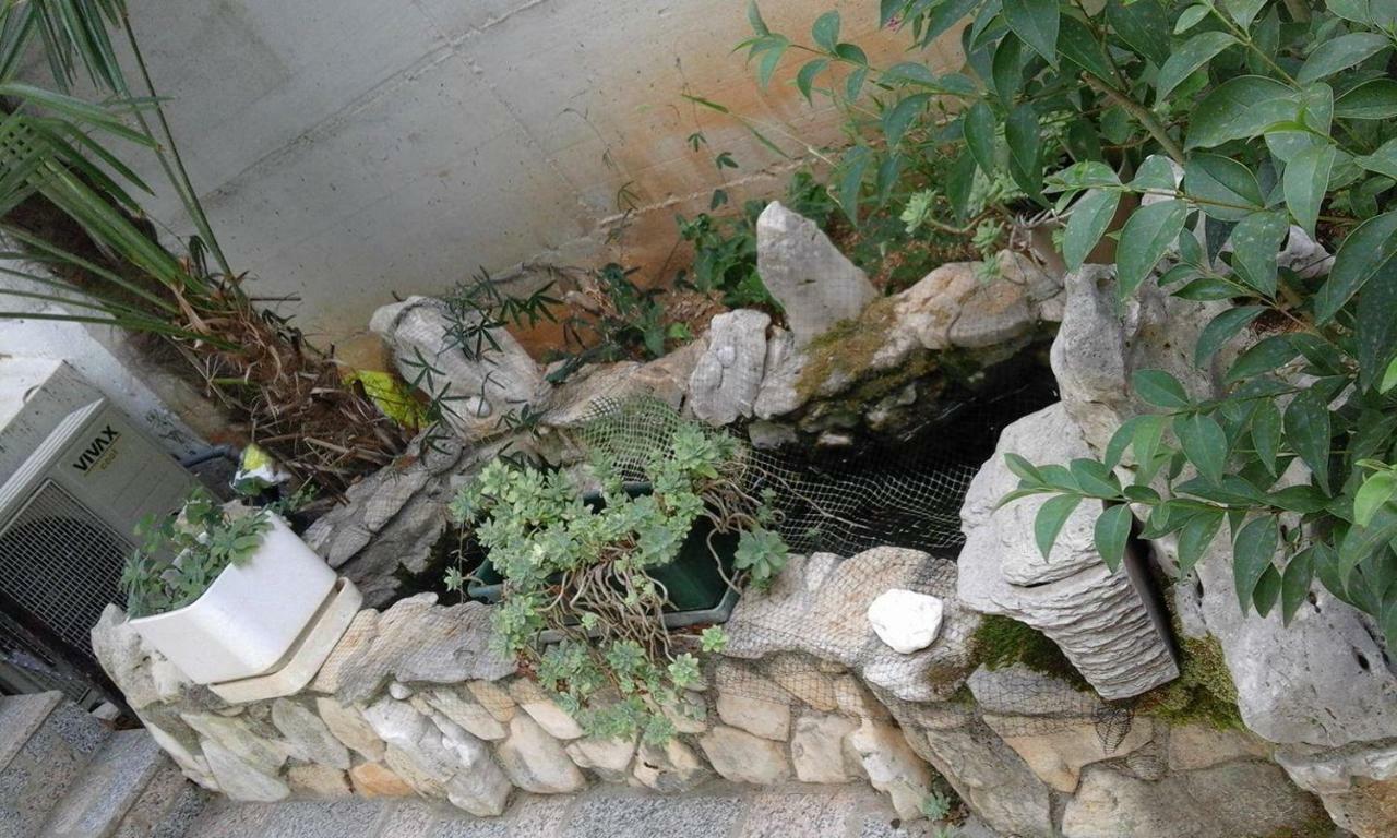 Apartment Jozefina Porec Exterior photo